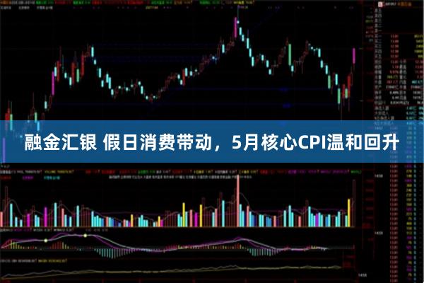 融金汇银 假日消费带动，5月核心CPI温和回升