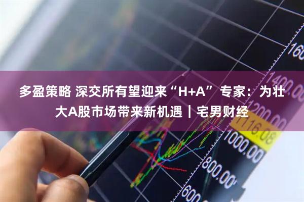 多盈策略 深交所有望迎来“H+A” 专家：为壮大A股市场带来新机遇｜宅男财经