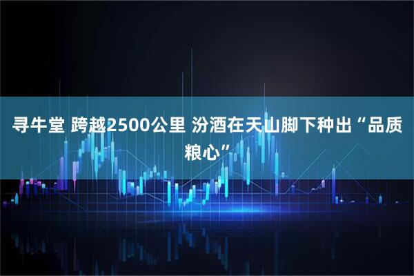 寻牛堂 跨越2500公里 汾酒在天山脚下种出“品质粮心”