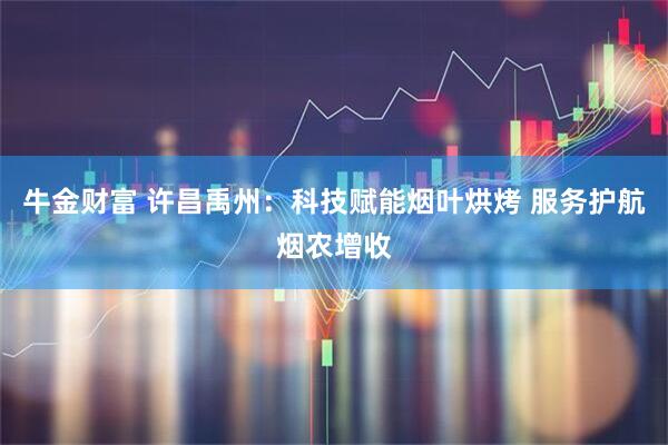 牛金财富 许昌禹州：科技赋能烟叶烘烤 服务护航烟农增收